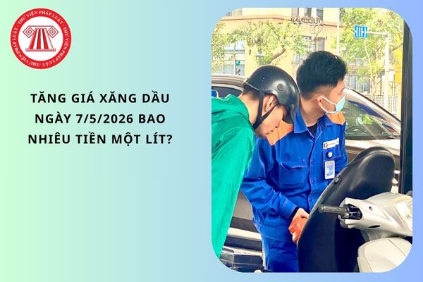 Pháp luật