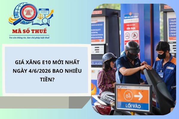 Pháp luật