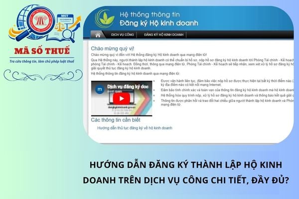 Pháp luật
