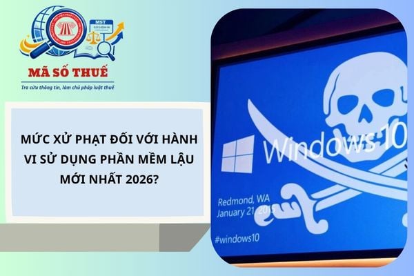 Mức xử phạt đối với hành vi sử dụng phần mềm lậu mới nhất 2026?