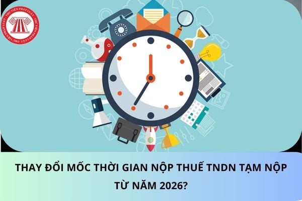 Pháp luật