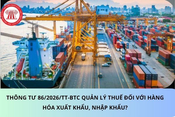 Pháp luật