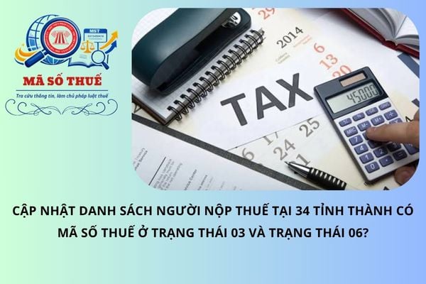 Tổng hợp danh sách NTT tại 34 tỉnh thành có MST ở trạng thái 03 và trạng thái 06?