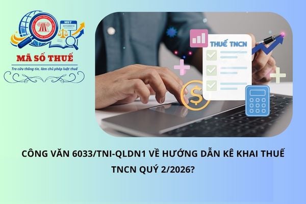 Công văn 6033/TNI-QLDN1 về hướng dẫn kê khai thuế TNCN quý 2/2026?