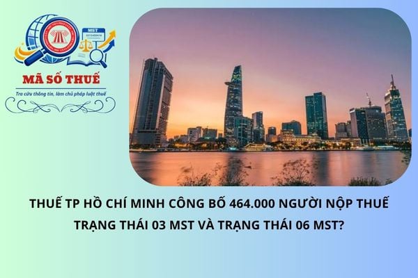 Thuế TP Hồ Chí Minh công bố 464.000 người nộp thuế trạng thái 03 MST và trạng thái 06 MST?