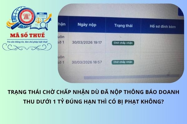 Trạng thái chờ chấp nhận dù đã nộp thông báo doanh thu dưới 1 tỷ đúng hạn thì có bị phạt không?