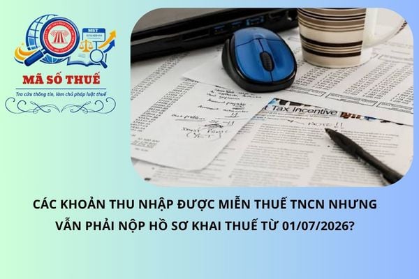 Các khoản thu nhập được miễn thuế TNCN nhưng vẫn phải nộp hồ sơ khai thuế từ 01/07/2026?
