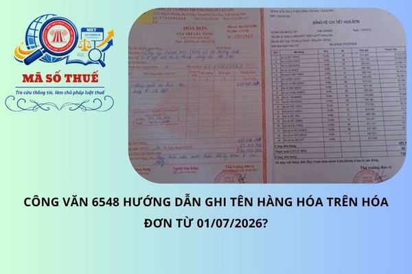 Công văn 6548 hướng dẫn ghi tên hàng hóa trên hóa đơn từ 01/07/2026?