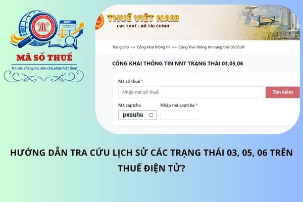 Pháp luật