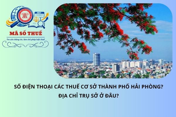 Pháp luật