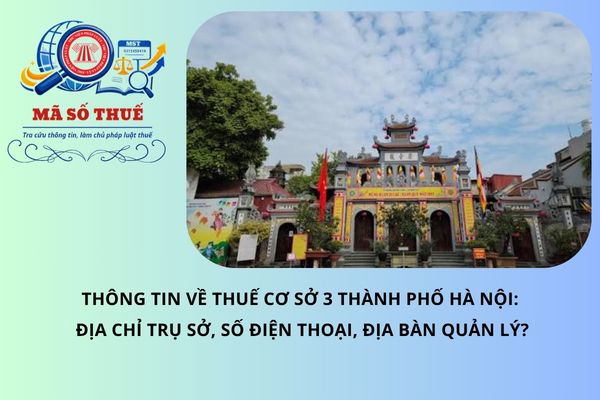 Pháp luật