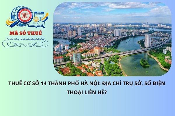 Pháp luật