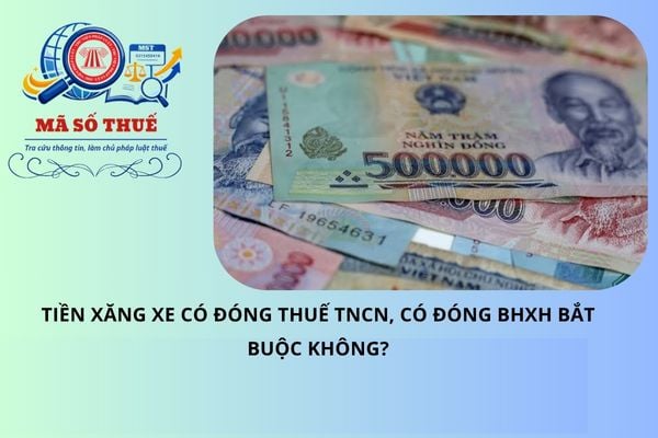 Pháp luật