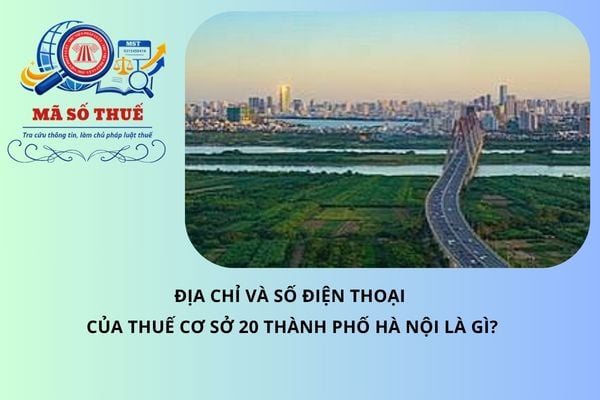 Pháp luật
