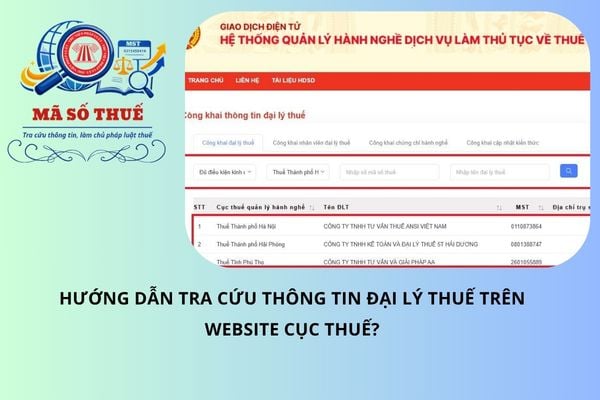 Pháp luật