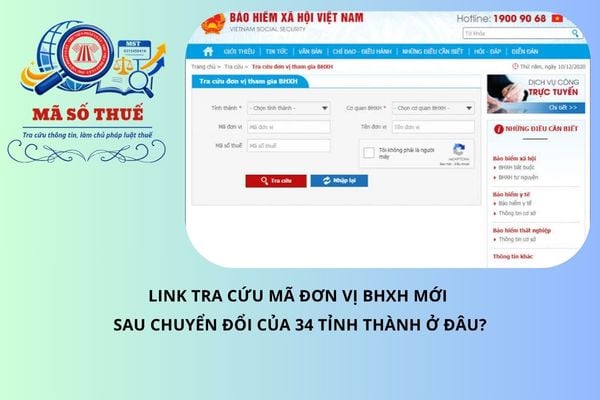 Pháp luật