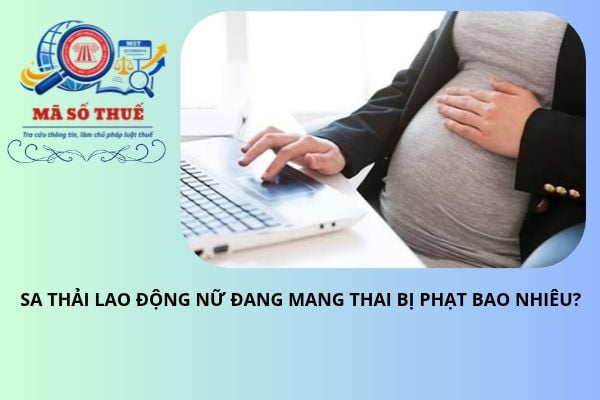 Pháp luật