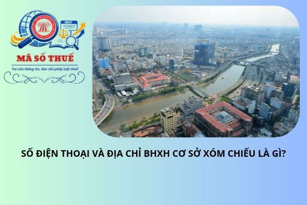 Pháp luật