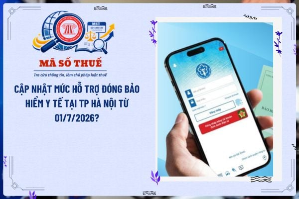 Pháp luật