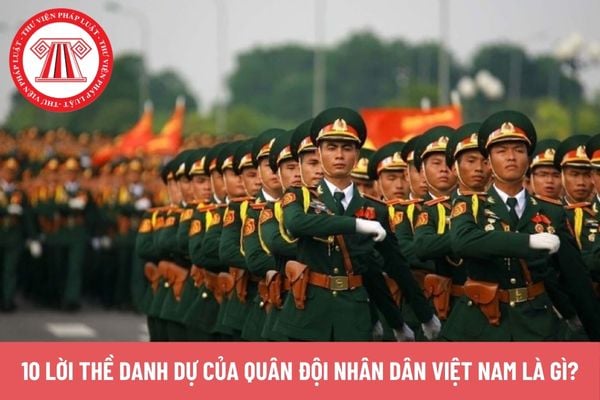 Pháp luật
