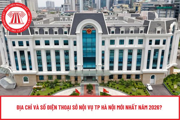 Pháp luật