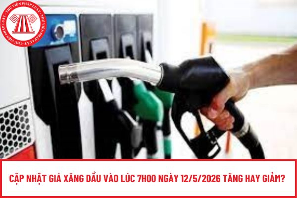 Pháp luật