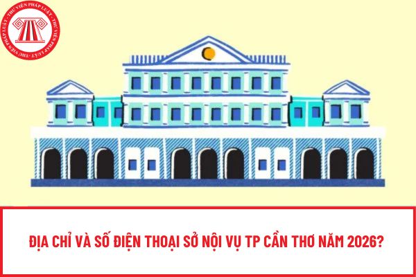 Pháp luật