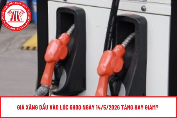 Pháp luật