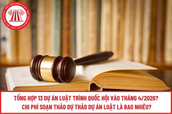 Pháp luật