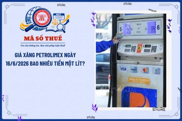 Giá xăng Petrolimex ngày 16/6/2026 bao nhiêu tiền một lít?