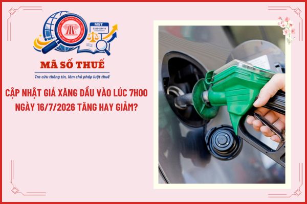 Pháp luật