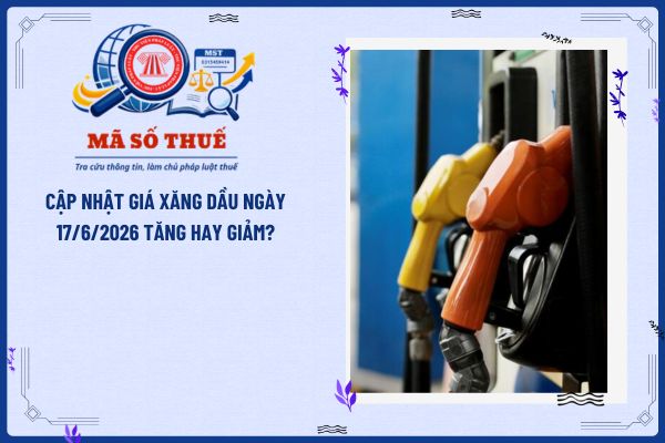 Cập nhật giá xăng dầu ngày 17/6/2026 tăng hay giảm?