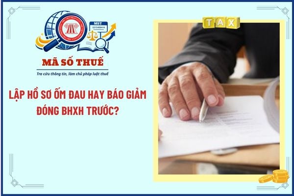 Pháp luật