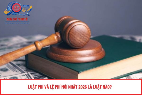 Pháp luật