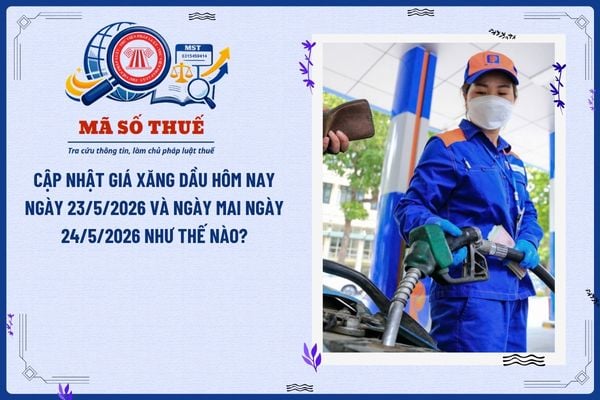 Pháp luật