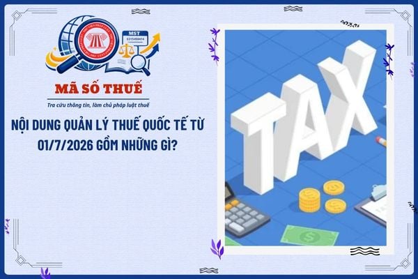 Nội dung quản lý thuế quốc tế từ 01/7/2026 gồm những gì?
