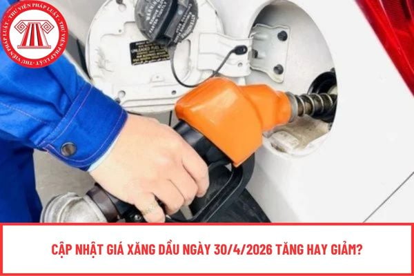 Pháp luật