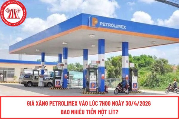 Pháp luật