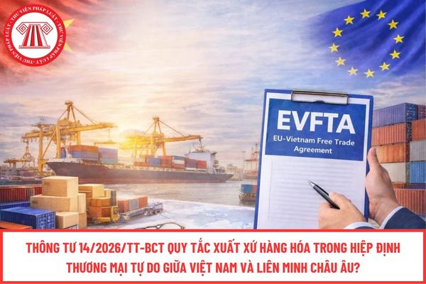 Pháp luật