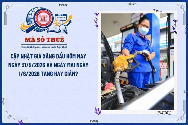 Pháp luật