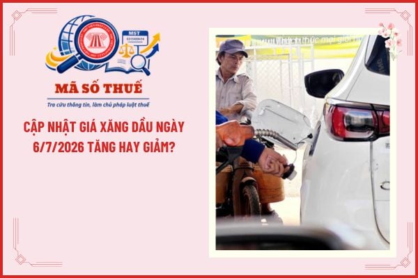 Pháp luật