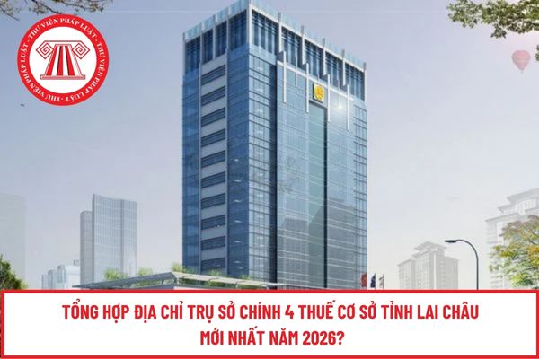 Pháp luật