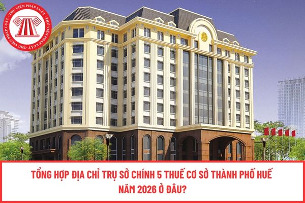 Pháp luật