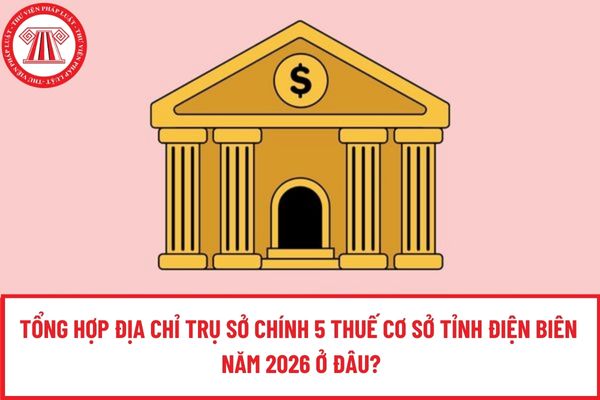 Pháp luật
