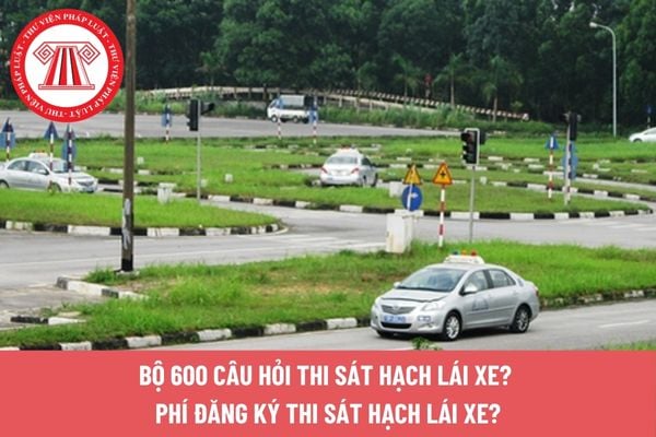 Pháp luật