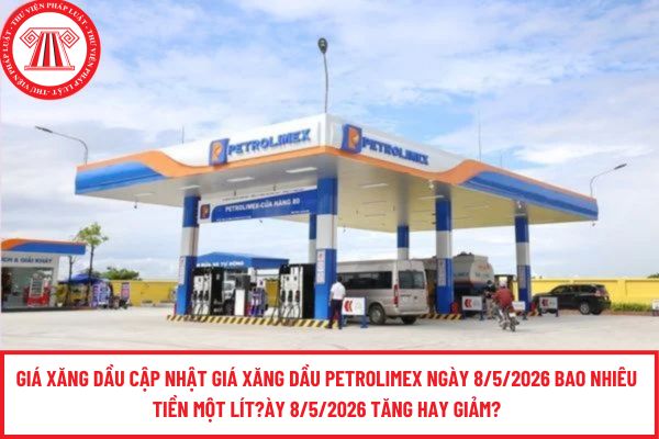 Pháp luật