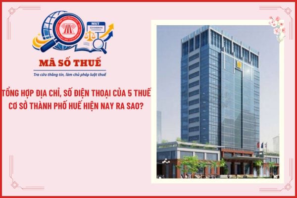 Tổng hợp địa chỉ, số điện thoại của 5 Thuế cơ sở thành phố Huế hiện nay ra sao?