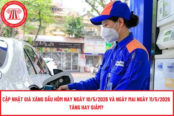 Pháp luật