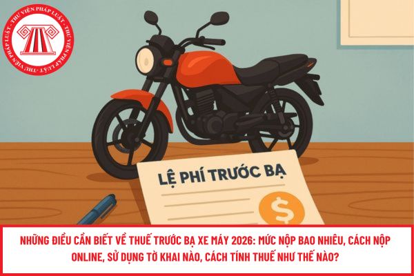 Pháp luật