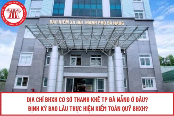 Pháp luật